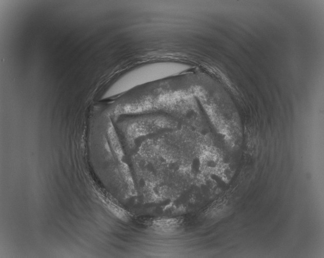 X0000082680357200702161704