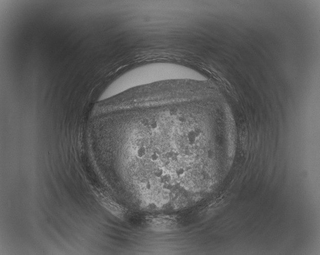 X0000082680359200702161704