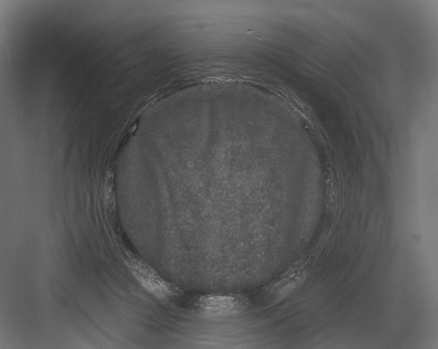 X0000082680361200702161704