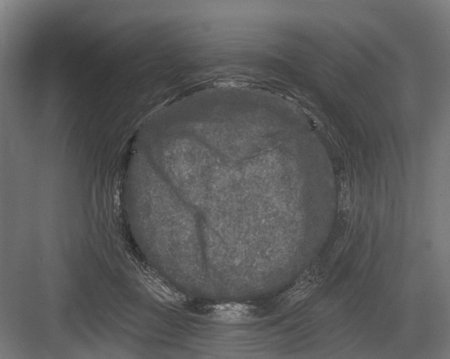 X0000082680363200702161704