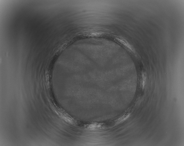 X0000082680366200702161704