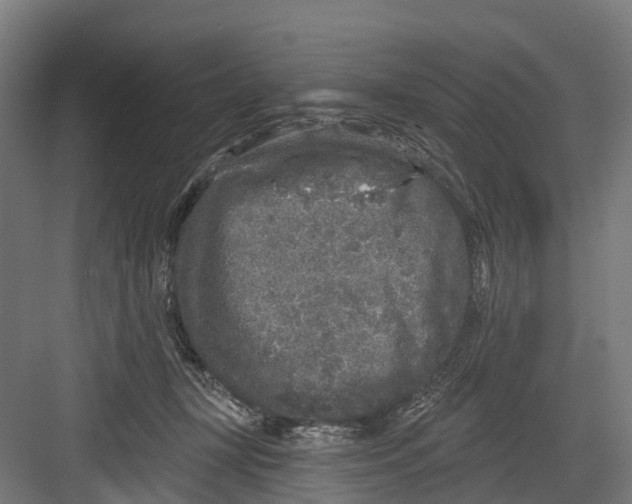 X0000082680367200702161704