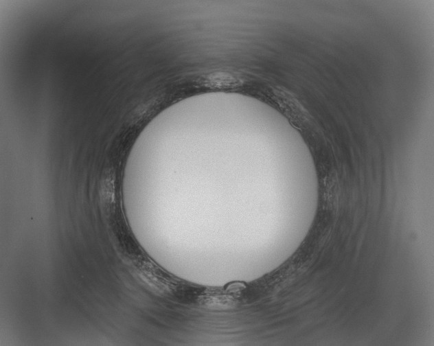 X0000082680368200702161704