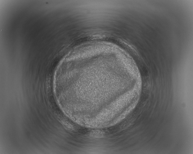 X0000082680369200702161704