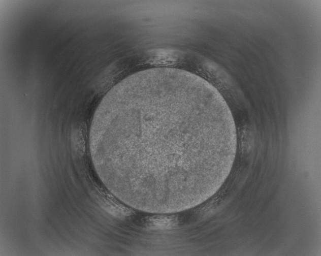 X0000082680370200702161704