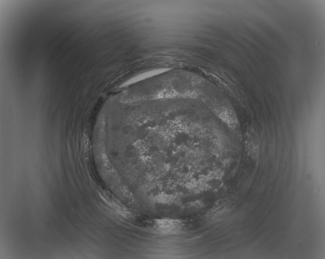 X0000082680371200702161704