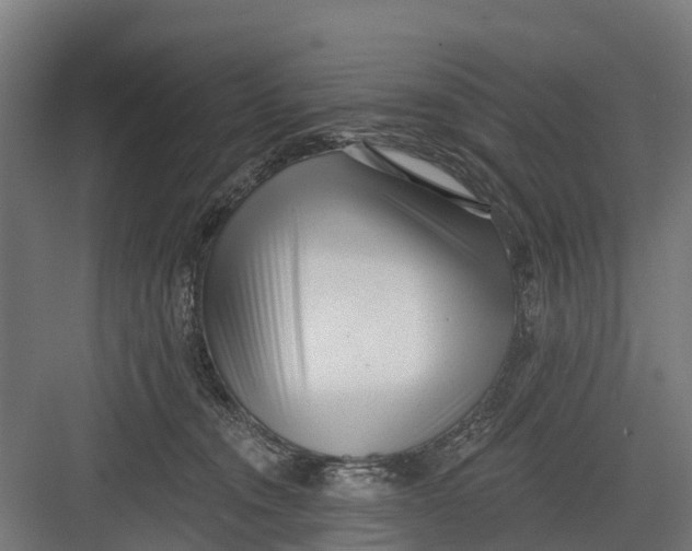 X0000082680372200702161704