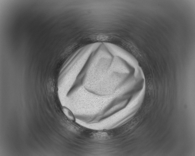 X0000082680374200702161704