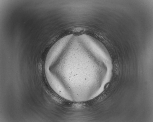 X0000082680375200702161704