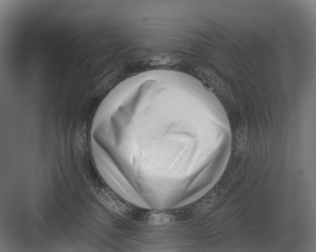 X0000082680376200702161704