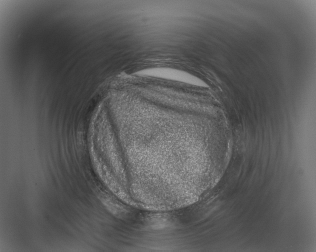 X0000082680377200702161704