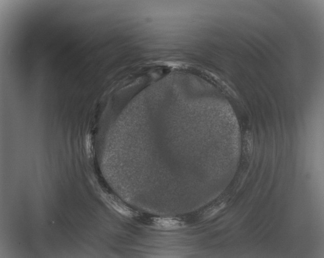 X0000082680380200702161704