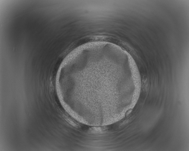 X0000082680381200702161704