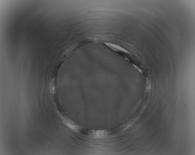 X0000082680383200702161704