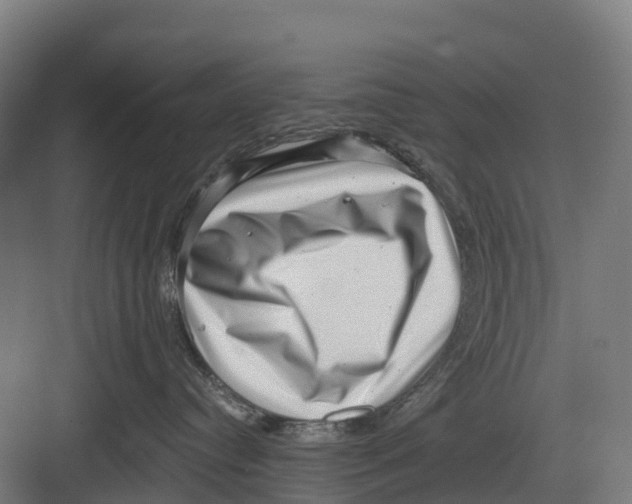 X0000082680384200702161704