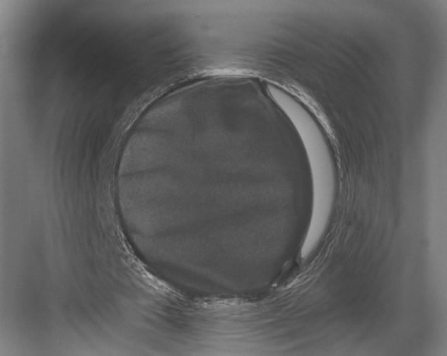 X0000082680385200702161704