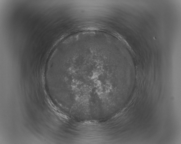 X0000082680386200702161704