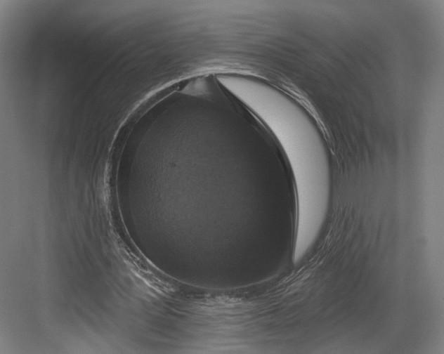 X0000082680387200702161704