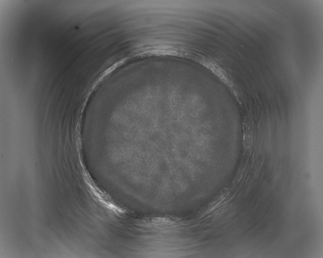 X0000082680390200702161704