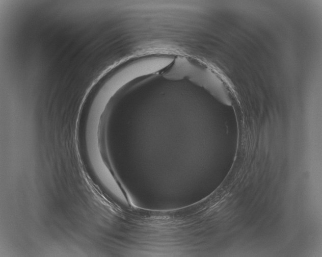 X0000082680391200702161704