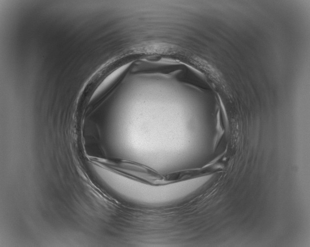 X0000082680392200702161704