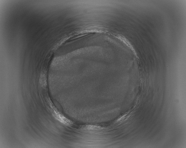 X0000082680393200702161704