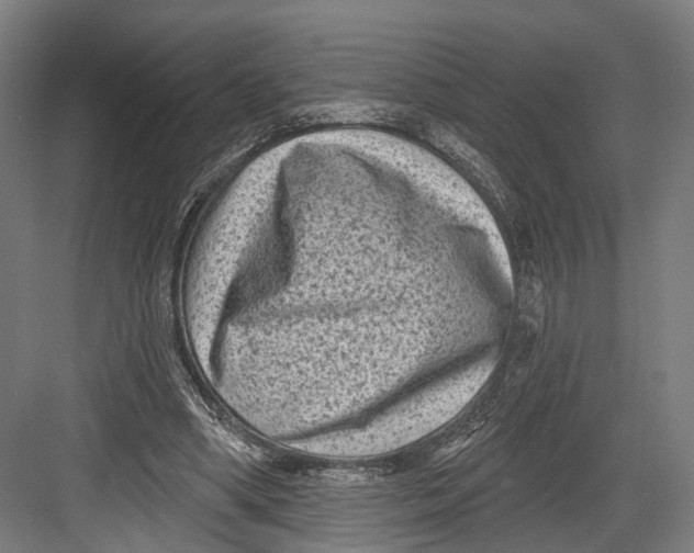 X0000082680394200702161704