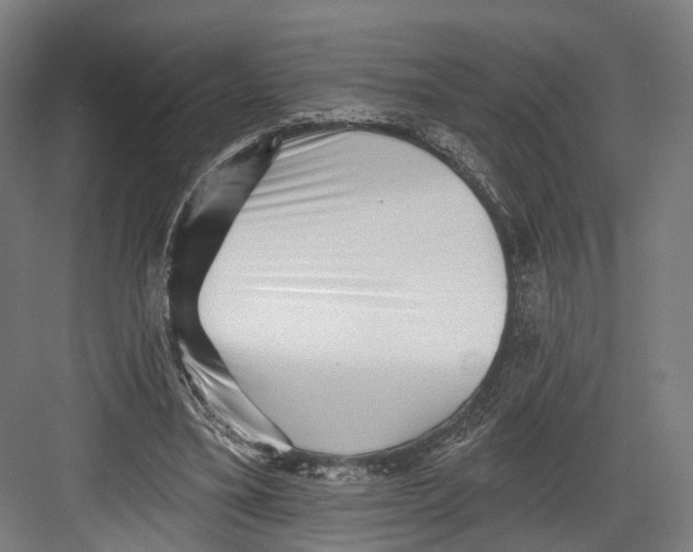 X0000082680395200702161703