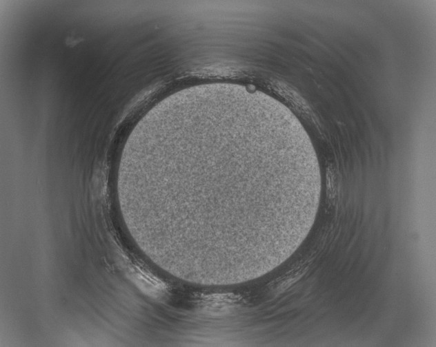 X0000082680396200702161703