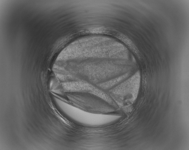 X0000082680397200702161703