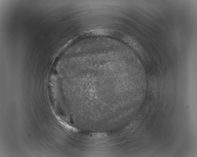 X0000082680398200702161703