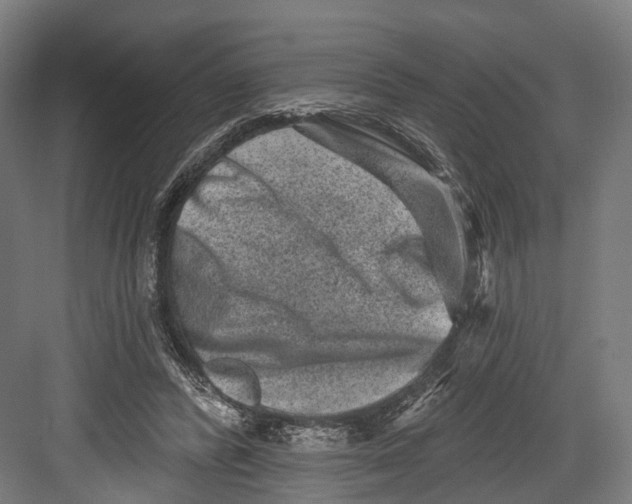 X0000082680400200702161703