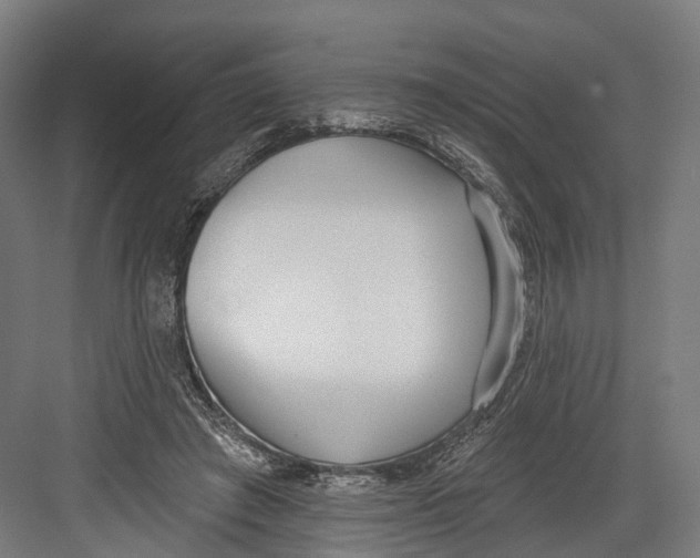 X0000082680401200702161703