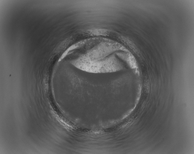 X0000082680402200702161703