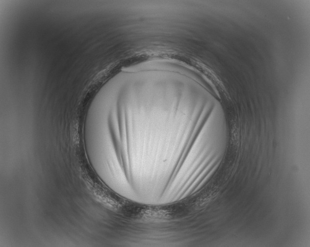 X0000082680403200702161703