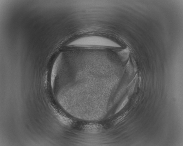 X0000082680404200702161703