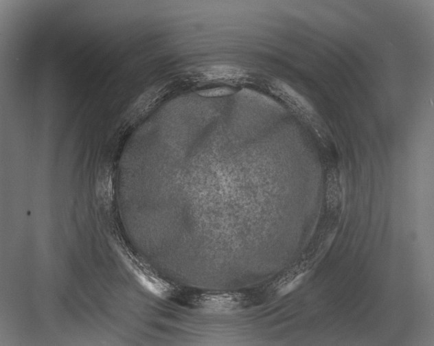 X0000082680405200702161703