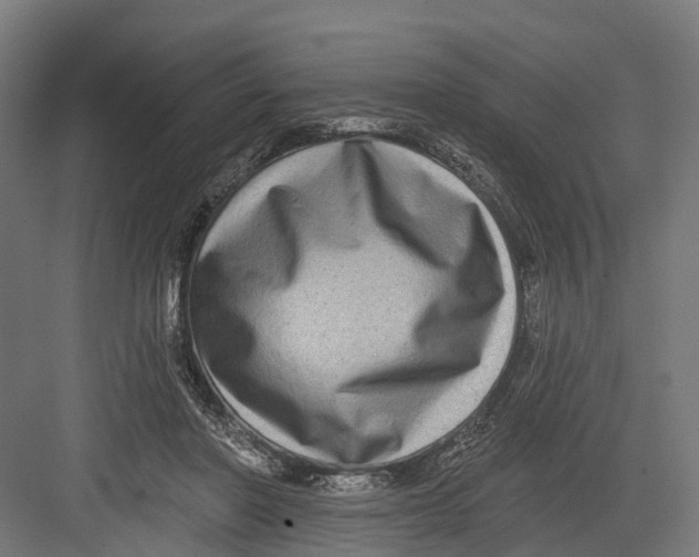 X0000082680406200702161703