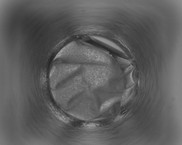 X0000082680407200702161703