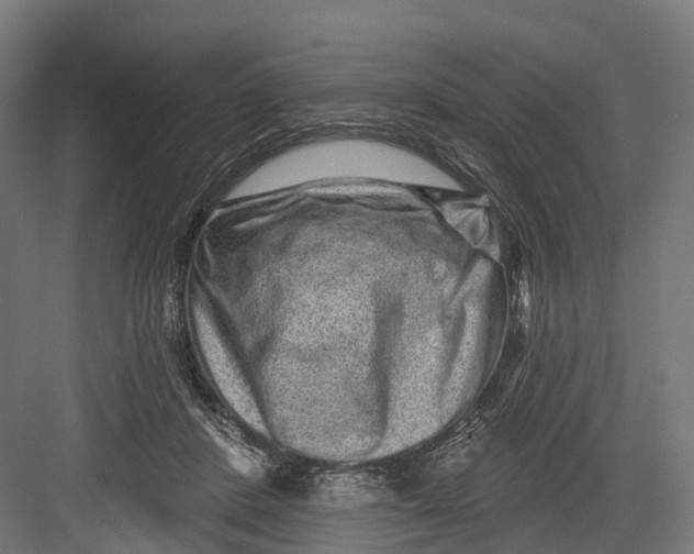 X0000082680408200702161703