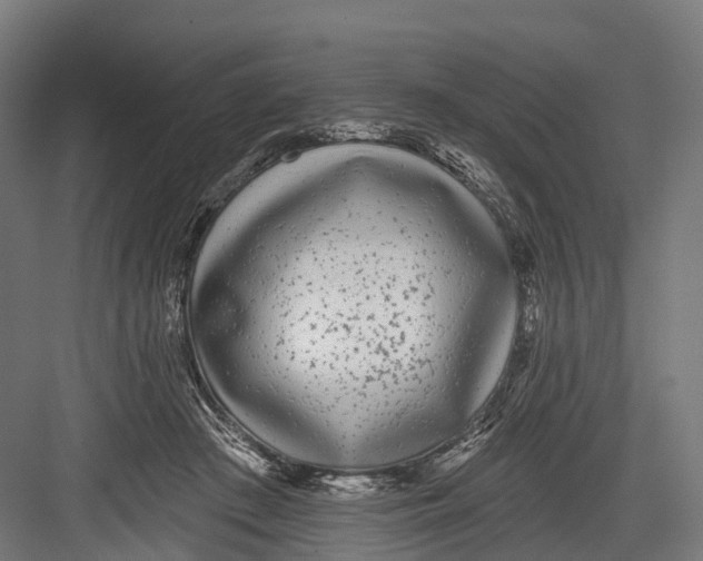 X0000082680409200702161703