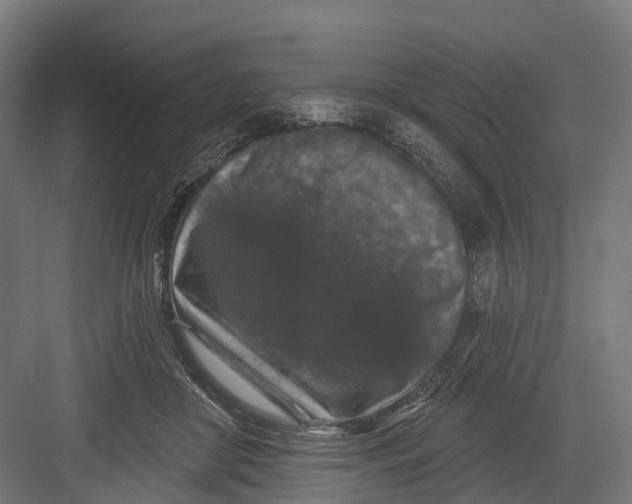 X0000082680410200702161703