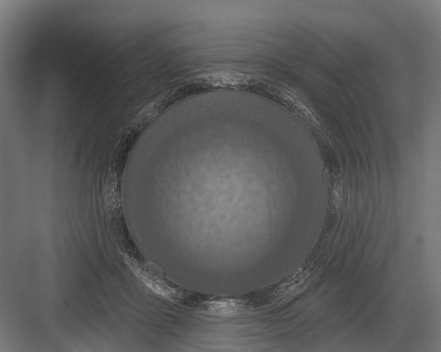 X0000082680411200702161703