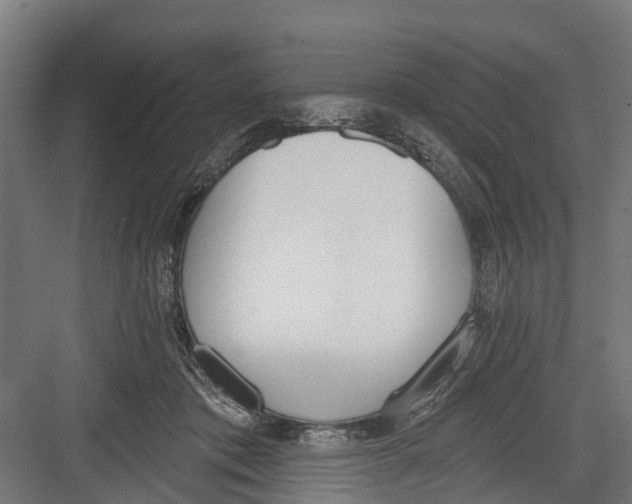 X0000082680413200702161703