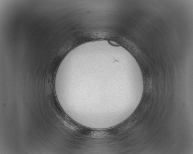 X0000082680414200702161703