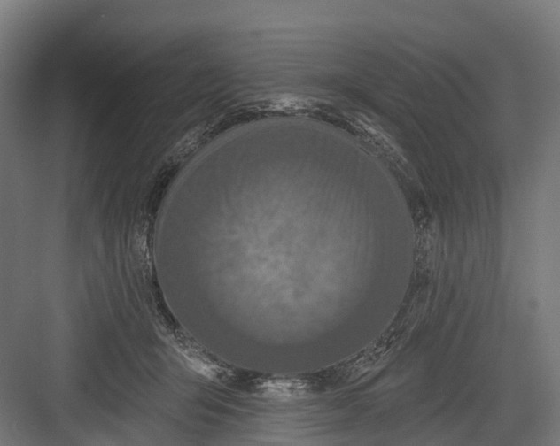 X0000082680415200702161703