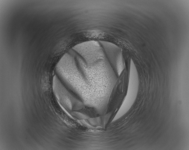 X0000082680416200702161703