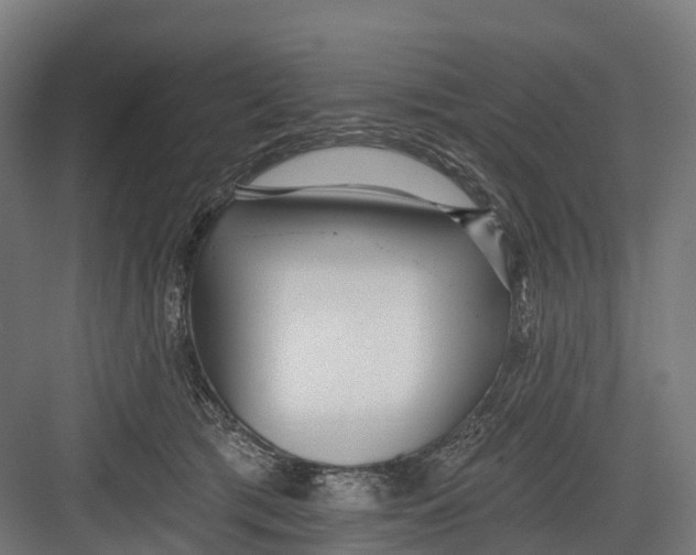 X0000082680417200702161703