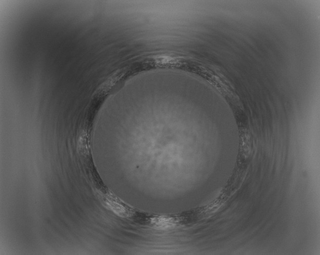 X0000082680419200702161703