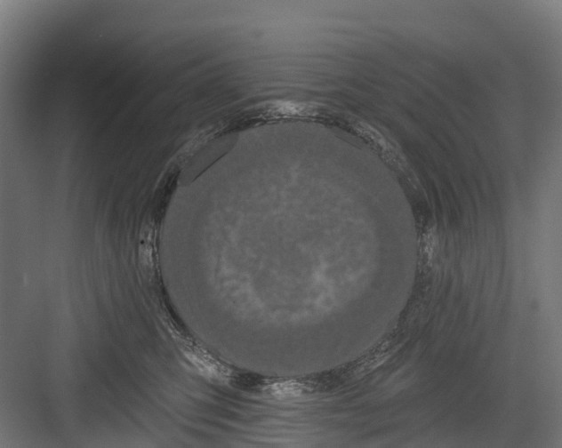 X0000082680423200702161703